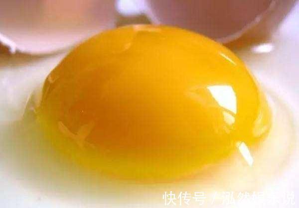 爆盆|这2种“肥”长寿花最喜欢!盆里放一点,叶片肉嘟嘟,开花爱爆盆