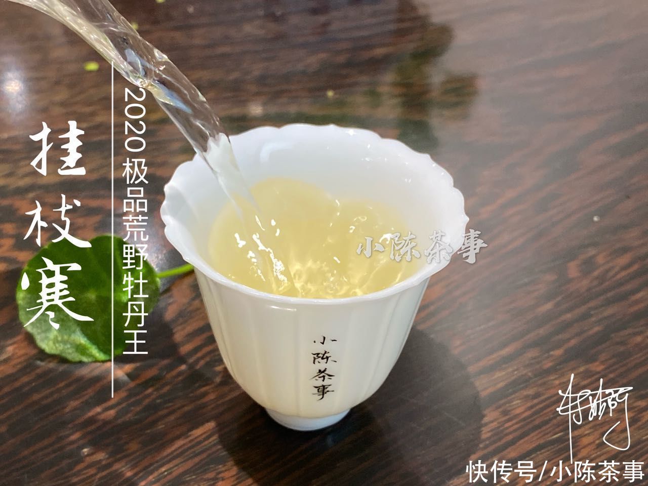 茶梗|谷雨白牡丹、小雪牡丹、巧克力味白茶，听着高大上，实是劣质品