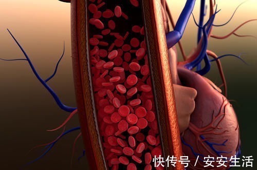 血脂|吃洋葱能降血脂?内科主任:真正降血脂的是它,常吃保持血管年轻