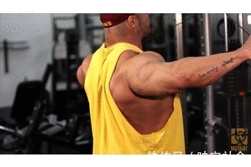 训练|网友说想练南瓜肩,练肩只追求大重量把肩练宽还要这6点技巧