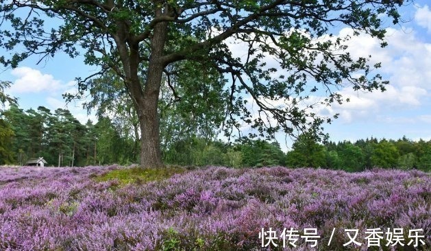 照片&德艺术家把不着片缕的美女隐藏在照片中，人体彩绘伪装下佳人何在