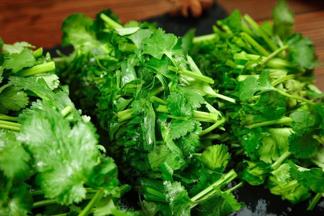 立秋|香菜吃不完,老农教你这样保存,放一年都不坏,颜色翠绿味道新鲜