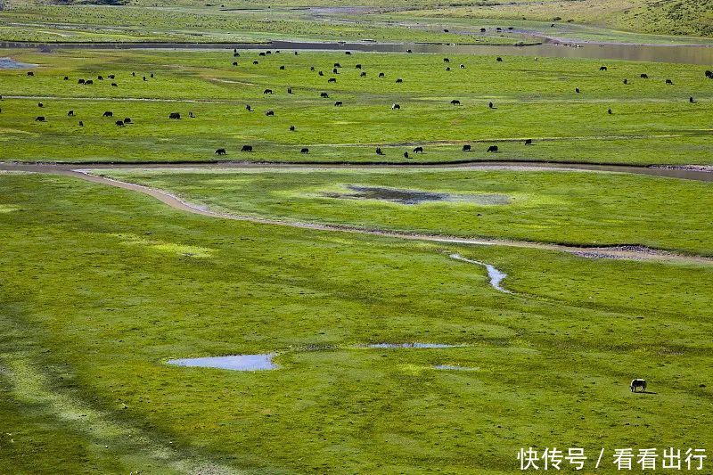 藏北|G317川藏北线，康巴秘境、佛国净土，自驾去探寻川西绝美秘境~