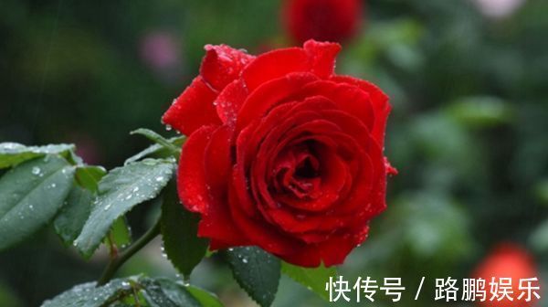 巳时|出生在以下时辰的孩子,个个“文曲星”,孝顺懂事,长大有出息