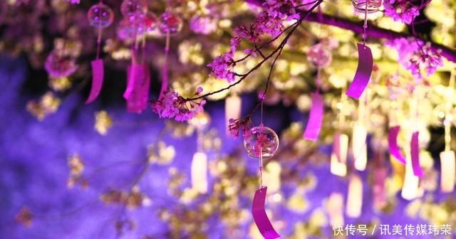春天|国内六处赏樱胜地,有全球最大的赏樱基地,也有面朝大海的公园