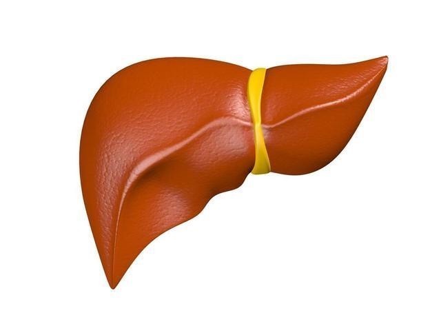 血液|男人最怕的就是“软”?其实这4处越“软”越好,赶紧对照一下