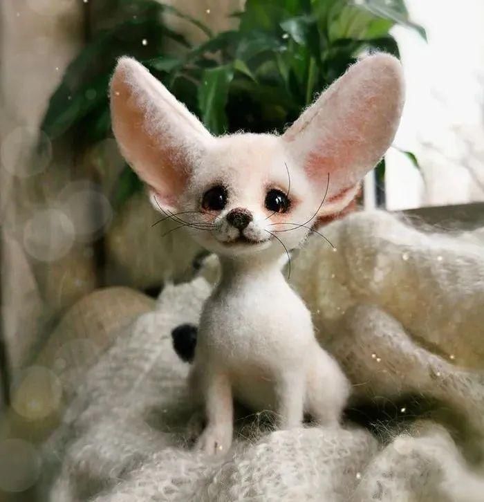 艺术家@逼真到极致的毛毡作品,毛茸茸的小动物,把心都融化了