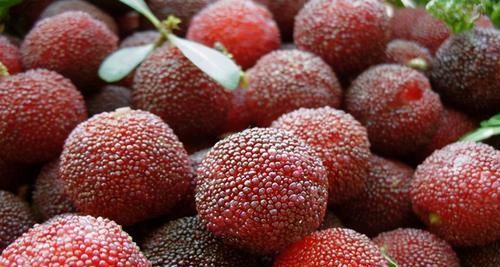  食物|每天坚持吃3种食物，营养丰富、滋补身体，好处多多！