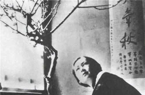  女性作家|才女鄙视链：冰心讽林徽因绿茶，张爱玲瞧冰心作，杨绛嫌张爱玲丑