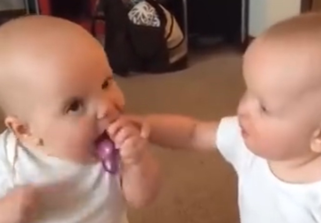 双胞胎宝宝“互抢”奶嘴萌翻众人,网友:亲情的火苗真是说灭就灭
