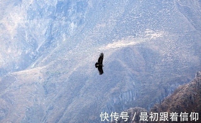 自我革命|任正非想当“甩手掌柜”遭抵制,他讲了一个故事,获众人纷纷赞同