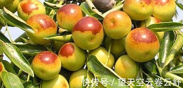 梁实秋|好对联！上联“桃红柳绿常遇春”, 下联有意思！