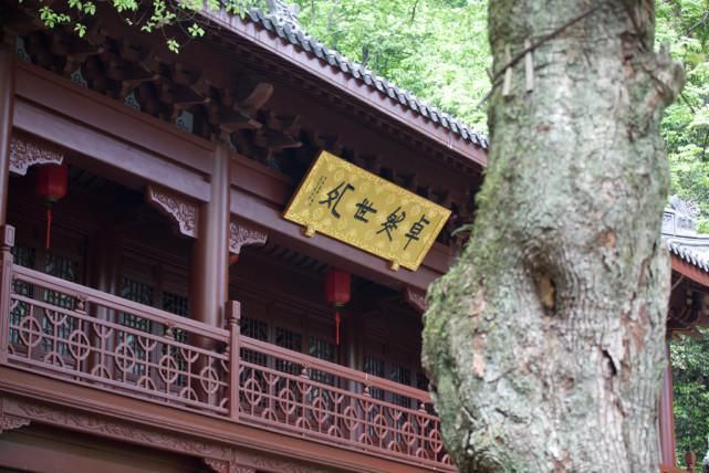 紧挨灵隐寺还有一座寺庙，1600年历史还不用门票，很多游客不知道