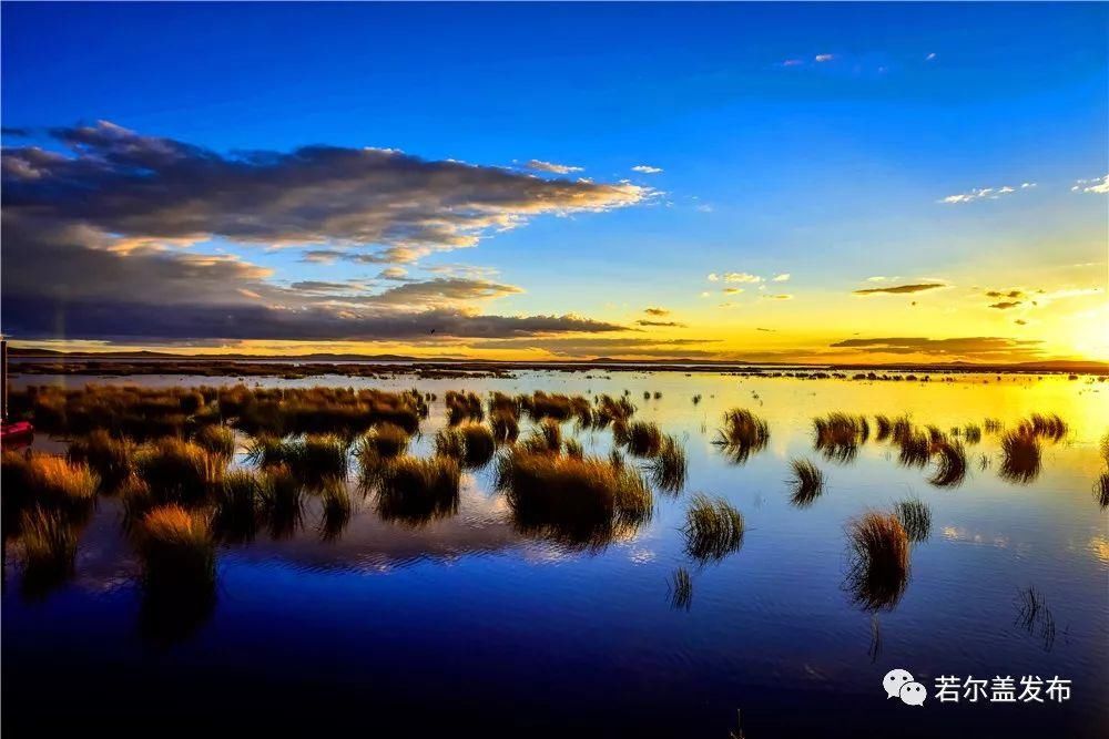 牟尼溝|阿壩州六地上榜“四川最美高原濕地”！