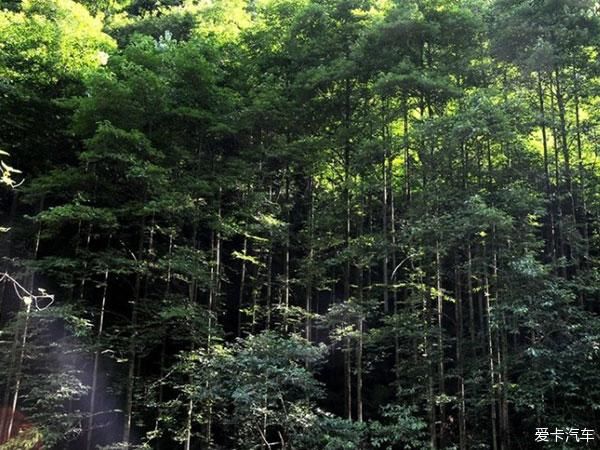 桃花源|醉氧青城后山