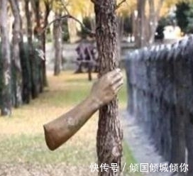 第一眼看&这只大树之手,紧抓住大树几十年不放,有点意义