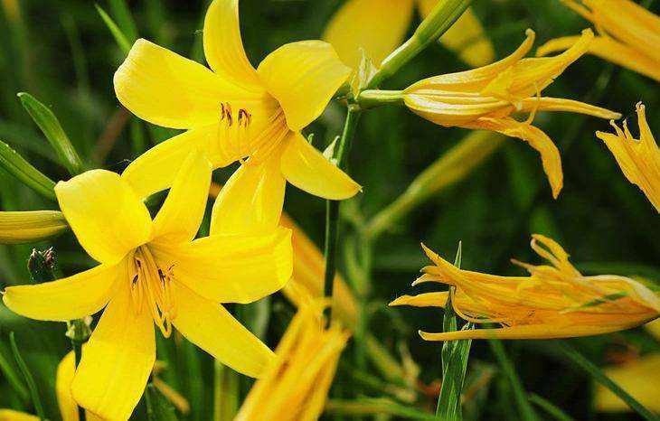 绿豆|女性不想老，不妨多吃四种食物，排毒抗衰，润肠通便，身体棒棒哒