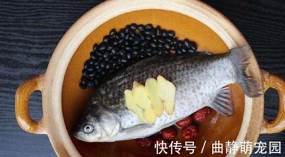 血管|黑豆和它搭配吃,软化血管,减掉肚腩,补足气血,预防便秘