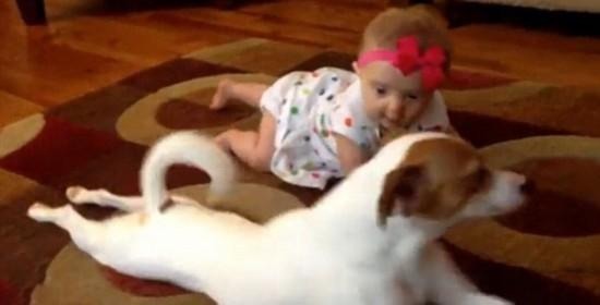 爬行|越“爬”越聪明,爬行敏感期错过很可惜!5种姿势助力宝宝学爬行