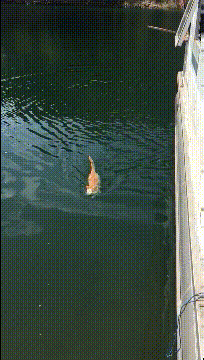 |笑话:我这是在教你无论别人说什么,你的眼睛都要看着路!