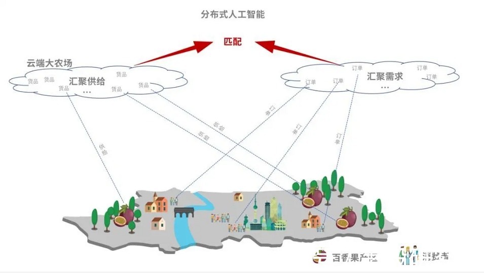 农产品|在农业道路上越扎越深，拼多多看到了什么？