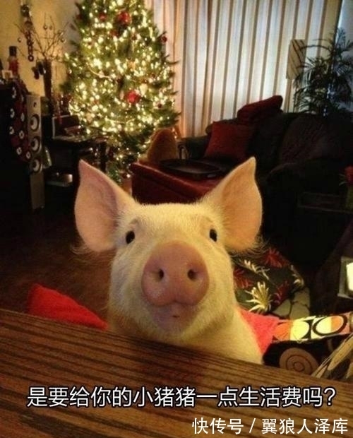 |搞笑段子:前几天看了一部电影,叫什么什么山了,忘了名了。