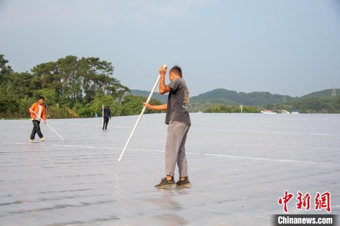 越冬池|航拍广西建设中的澳洲淡水龙虾基地 年产值预计达100万元