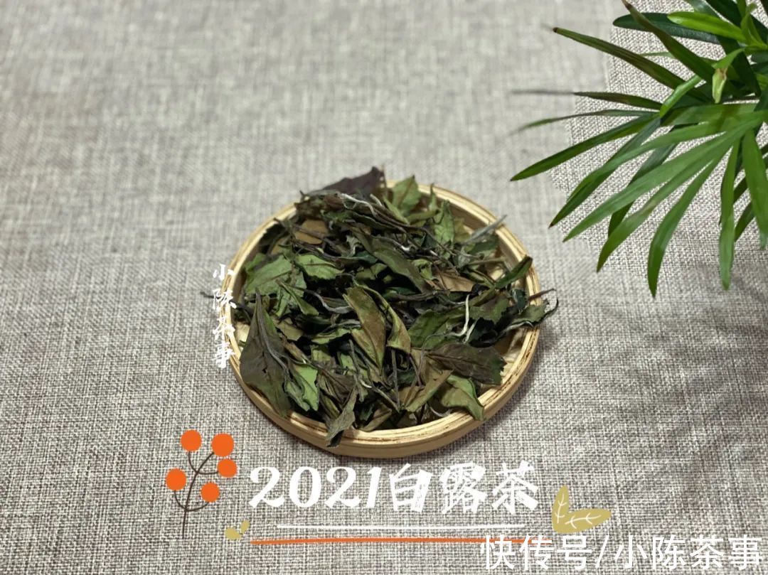 白露节@都是秋白茶，寒露茶与白露茶如何分辨？4个角度带你理清层层迷雾