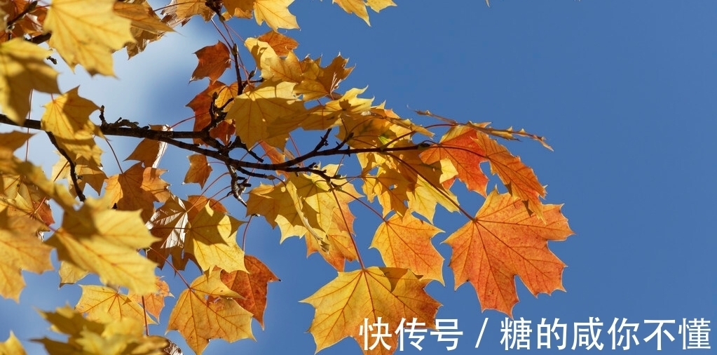 元稹|秋风生渭水，落叶满长安。三首思念朋友的古诗，哪一首能够打动你