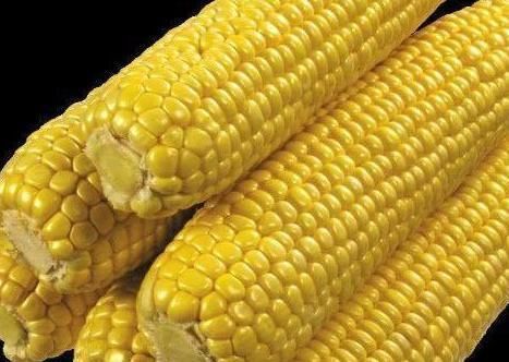 心血管疾病|被称血栓的“对死头”，日常多吃点，排尽血管垃圾，血栓悄悄溜走