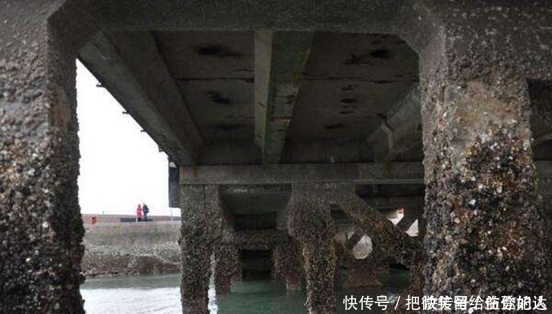 海水 中国混凝土海水实验:进行了快30年,到底有啥意义?