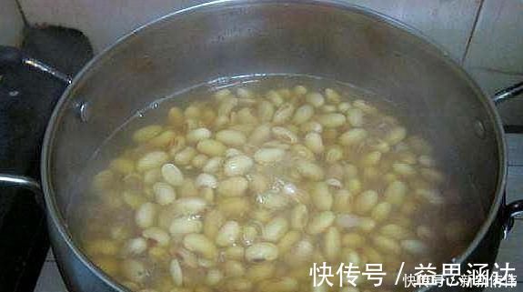 大神养金枝玉叶，每月喂上“1碗汤”，枝粗叶绿，2年成高价老桩