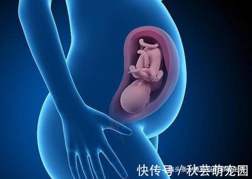 体重|孕晚期最后一个月胎儿还会长吗？还会长多少？