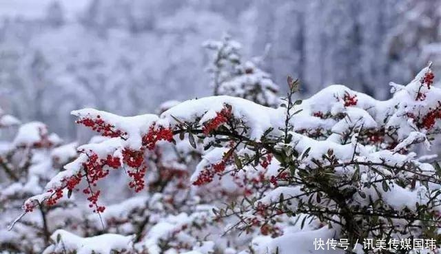 重庆周末去赏雪：新一轮降温后，雪漫人间！这些地方都可以赏雪