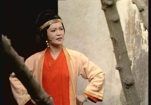 异类@红楼梦里的一个异类,出身名门却毫无教养,没有朋友,孤家寡人