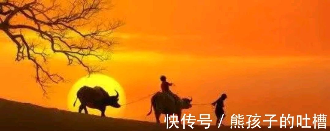 野渡征联|野渡征联第三期:晴窗徊雁影,诚征下联