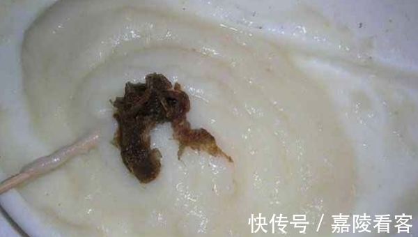 冬季钓鲫鱼,推荐几款自制拉饵,成本几块钱,比商品饵更好用