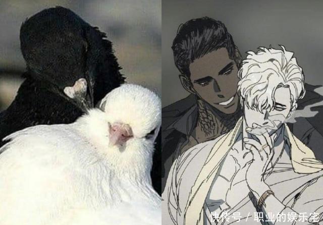 小动物|小动物们拟人化,变身美男子,颜值一个比一个高,忍不住脑补