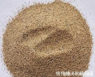 土壤|养花土壤板结,三种“玩意儿”丢盆里,土又好又肥,再也不板结了