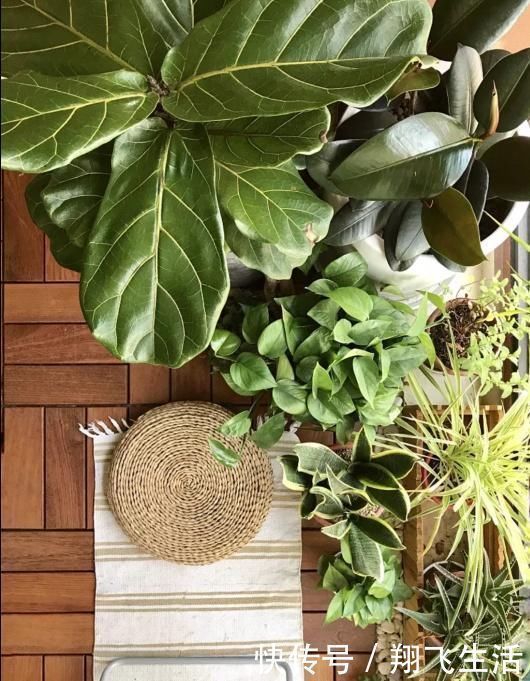 案例|阳台再小,也别乱装!这么装能“一屋三用”,太聪明了!