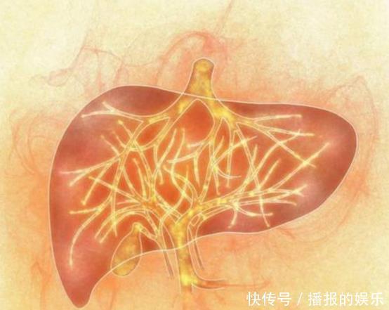 医生想长寿，3种菜说啥不要端上餐桌，1种“零食