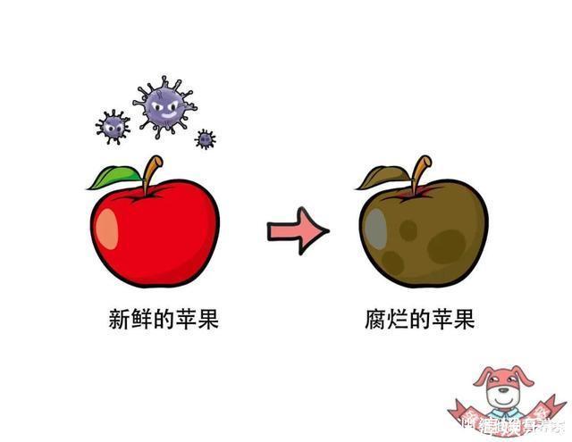  保质期|保质期长真的是添加了很多防腐剂这次就为罐头食品正名