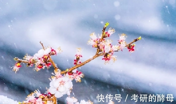 诗人$早春时节,杜甫和陆游各自吟诵了一首五律,画面不同,心境相似