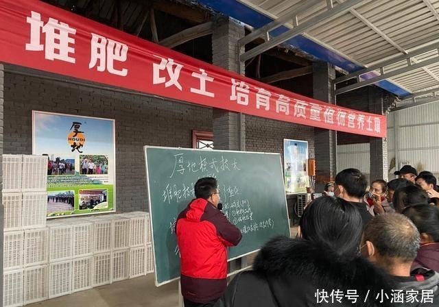 方法|盆土变硬“板结”严重,不用换土,加这3样变新土