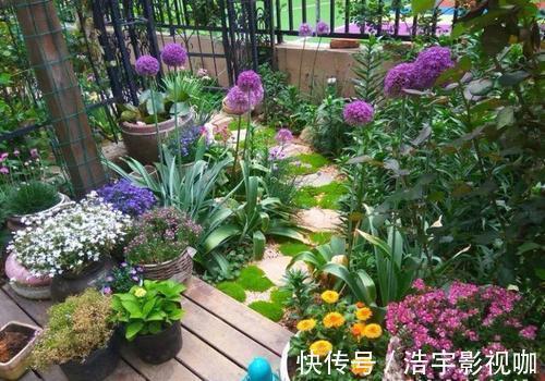 她家院子里开满了花,像一个小花园,好想去赏花,真美!