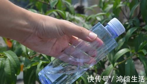 实用|塑料瓶上戳2个洞，放在家里特别实用，轻松省下不少钱，快试试吧