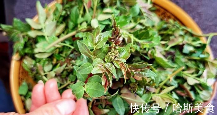 开胃|很多人只吃种子，其实叶子才是宝贝，简单一拌，开胃解腻，比肉香