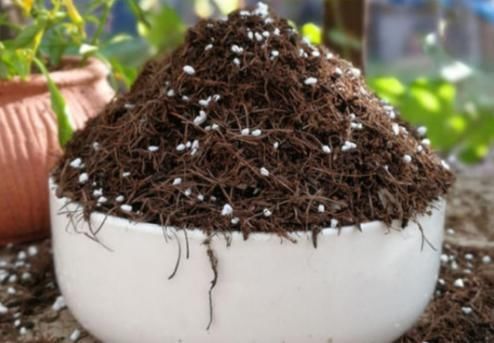  误区|远离这些养花误区，啥花都能养爆盆！