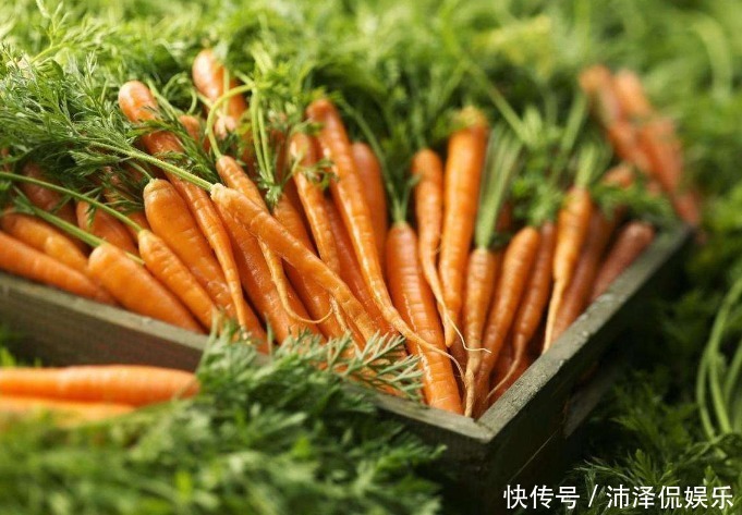 营养物质|医生忠告胡萝卜常吃对身体好,但要避免以下两种错误吃法