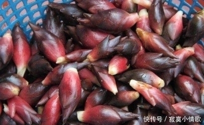 农村|这个植物一般长在农村,出口日本成抗癌佳品,做菜非常棒!